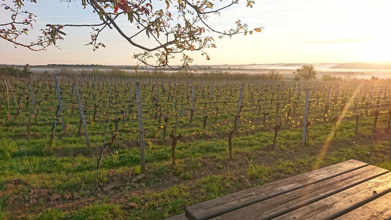 Weingut Familie Bauer Otel Grossriedenthal Dış mekan fotoğraf